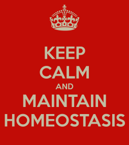 Keep calm & maintain homeostasis